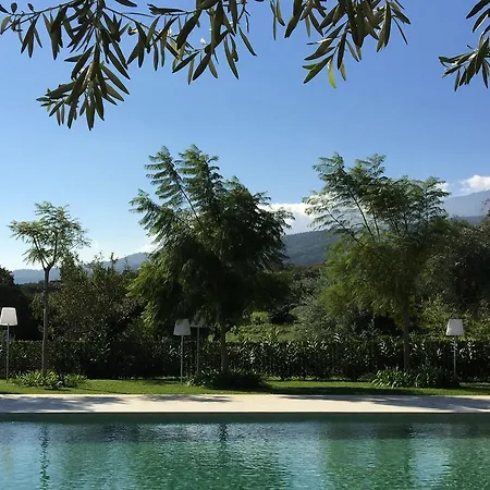 Tale Restaurant & Resort