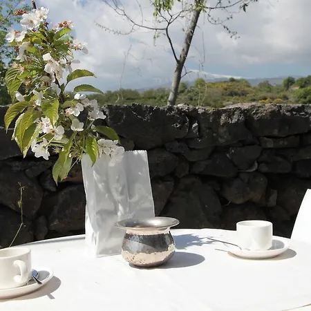 Tale Restaurant &